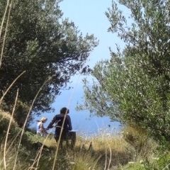 Schildervakantie op Andros